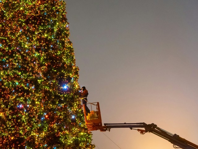 December 2025 Man on a lift working on large Christmas Tree (Unsplash/@alinabelogolova/V9ADivaSrA8)