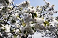 Spring is here